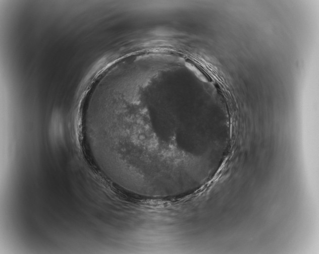 X0000096410339200801241225