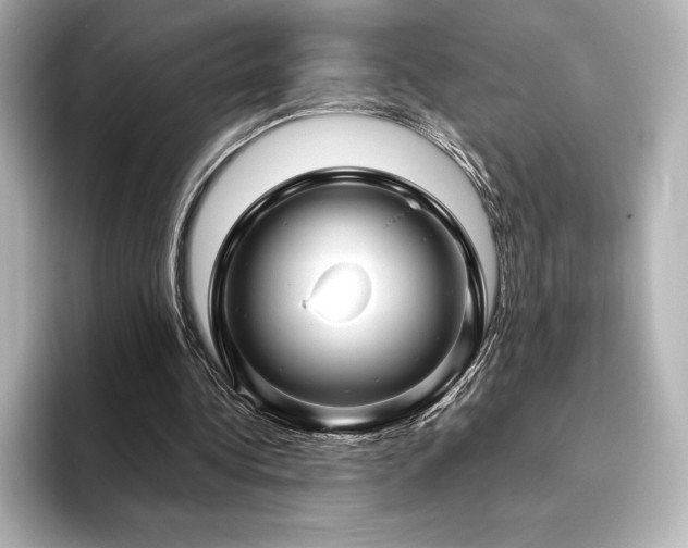 X0000096410340200801241225