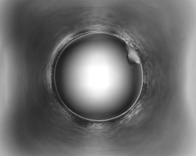 X0000096410341200801241225