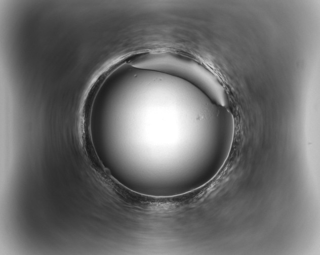 X0000096410342200801241225