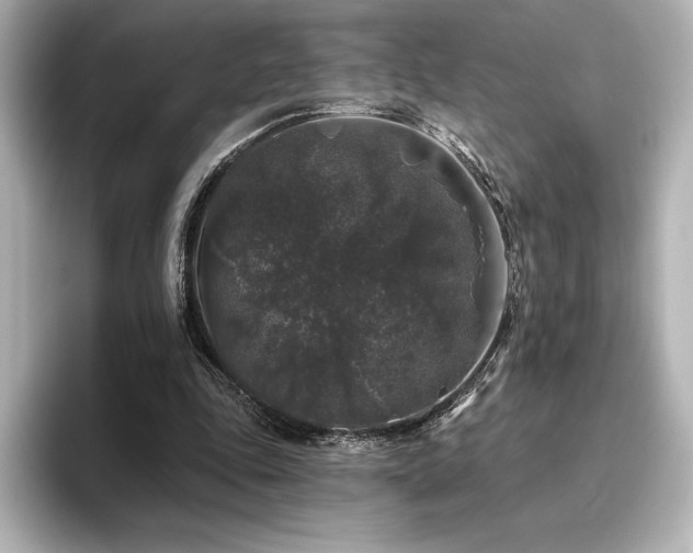 X0000096410343200801241225
