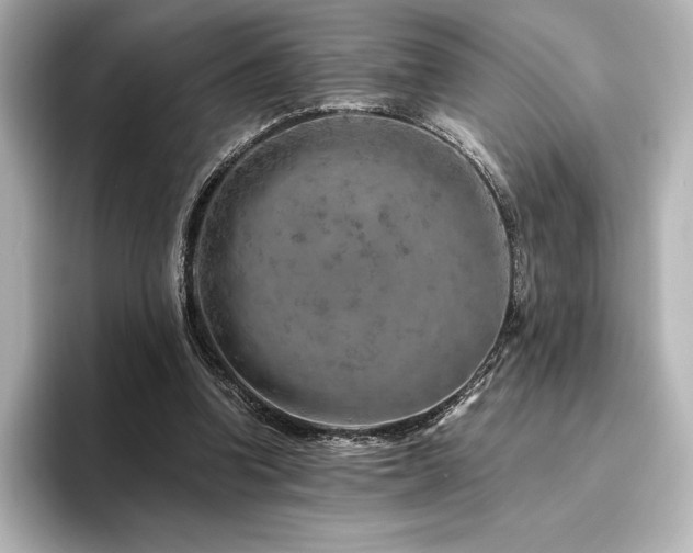 X0000096410346200801241225