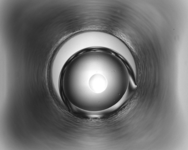 X0000096410348200801241225
