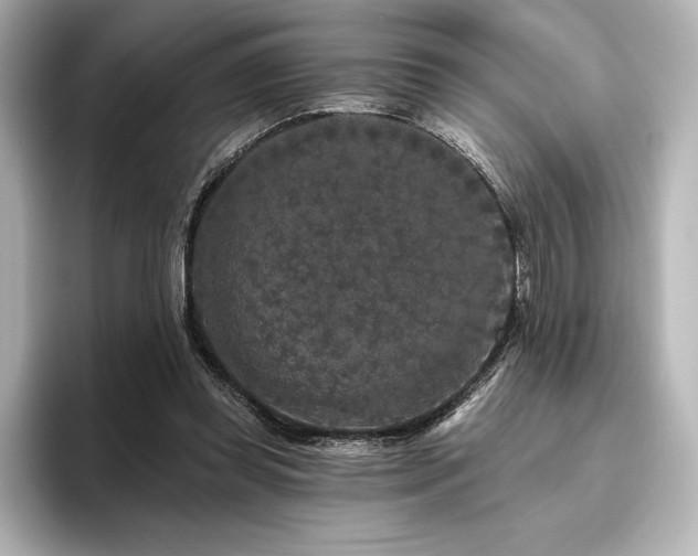 X0000096410349200801241225