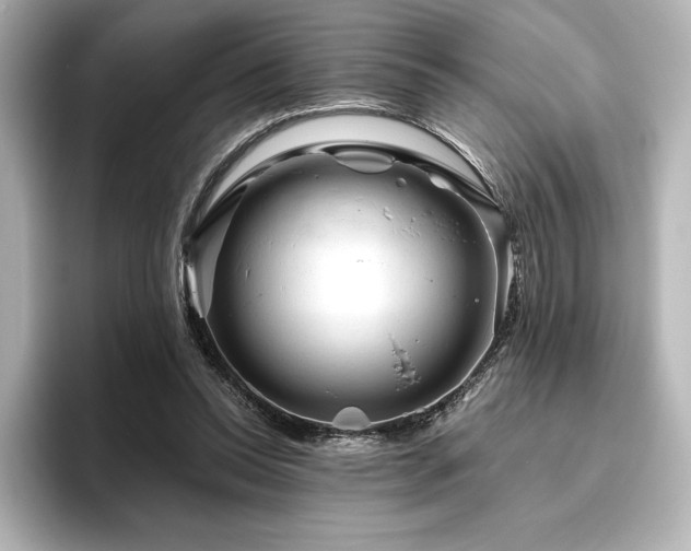 X0000096410350200801241225