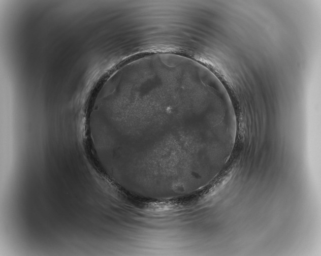 X0000096410351200801241225