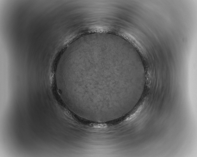 X0000096410355200801241225