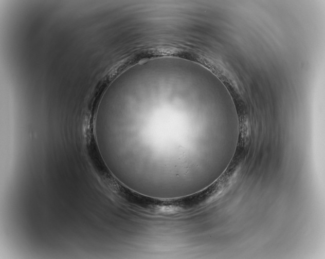 X0000096410360200801241225