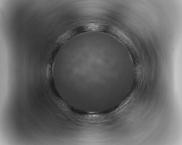 X0000096410361200801241225