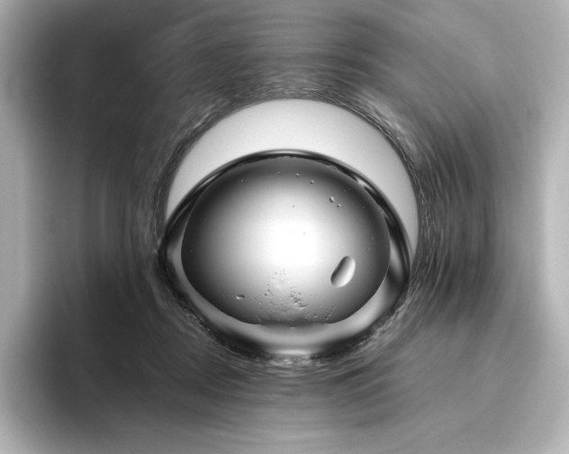 X0000096410362200801241225