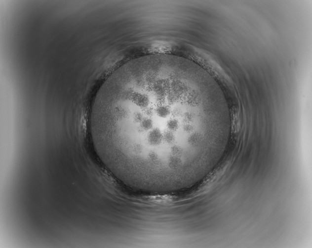 X0000096410363200801241225
