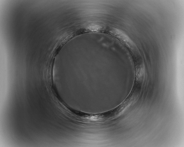 X0000096410365200801241225
