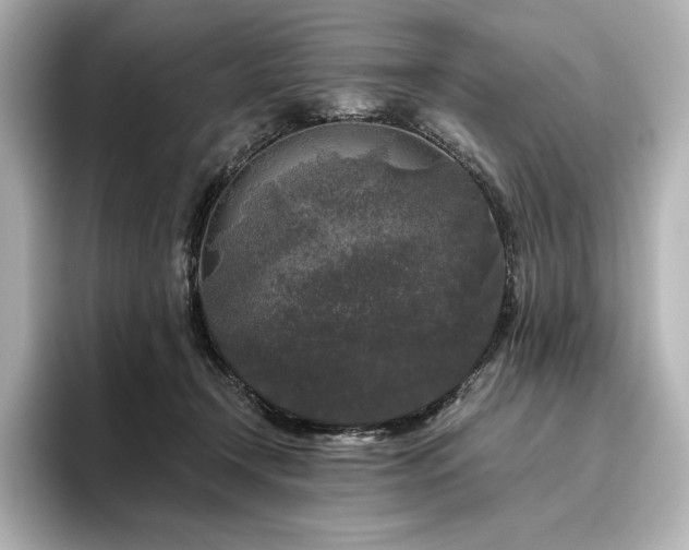 X0000096410366200801241225