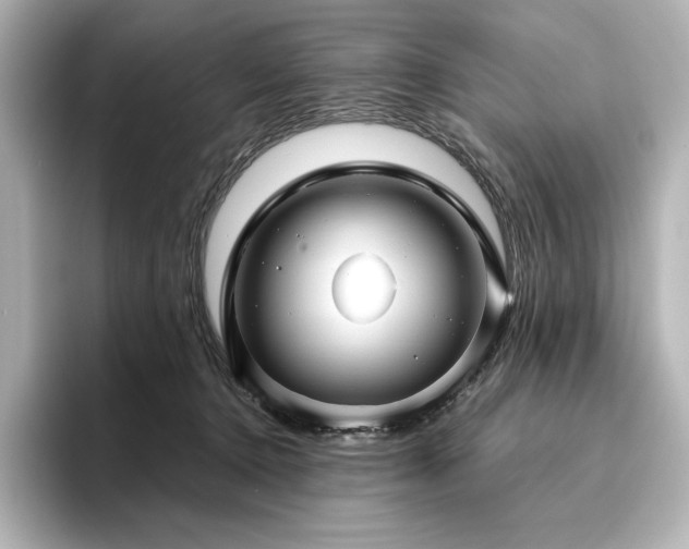 X0000096410368200801241225