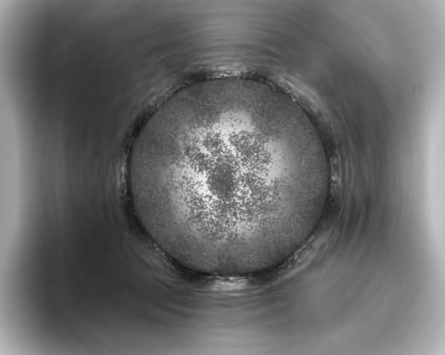 X0000096410369200801241225