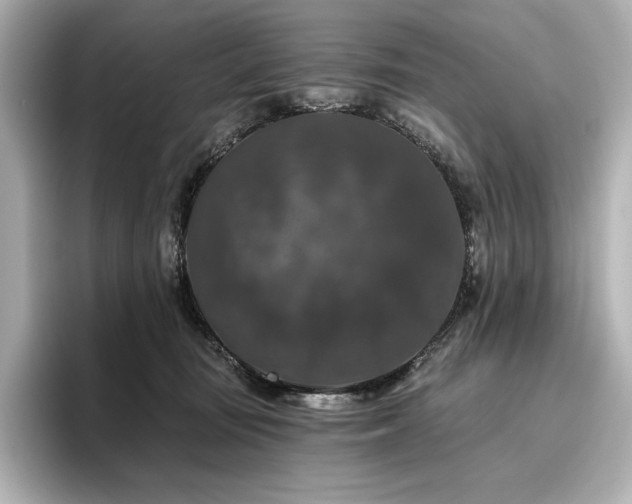 X0000096410371200801241225