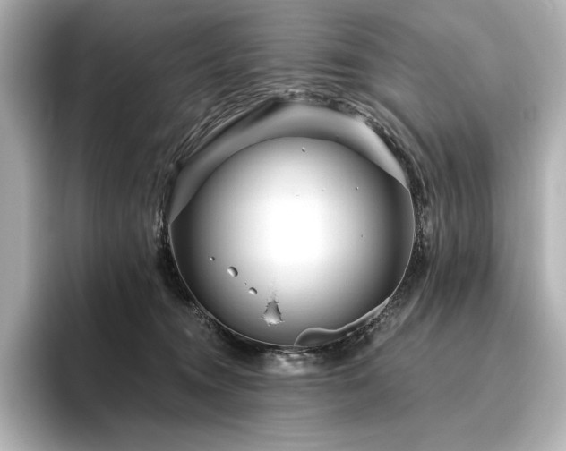 X0000096410372200801241225