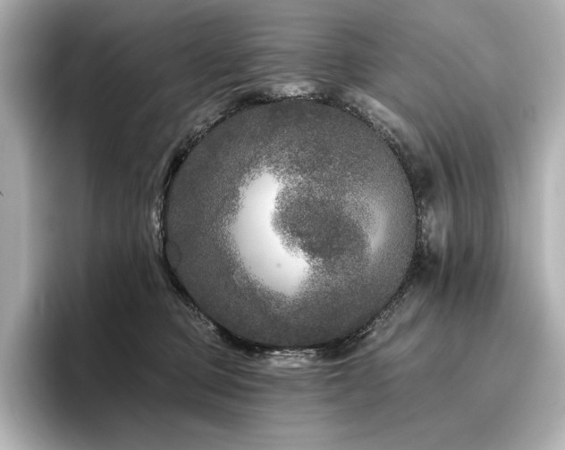 X0000096410373200801241225