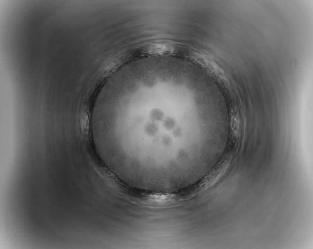 X0000096410375200801241225