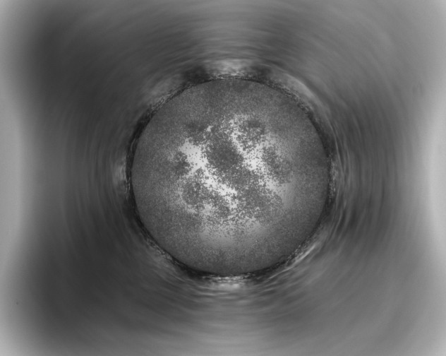 X0000096410377200801241225