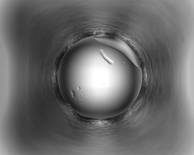 X0000096410379200801241225