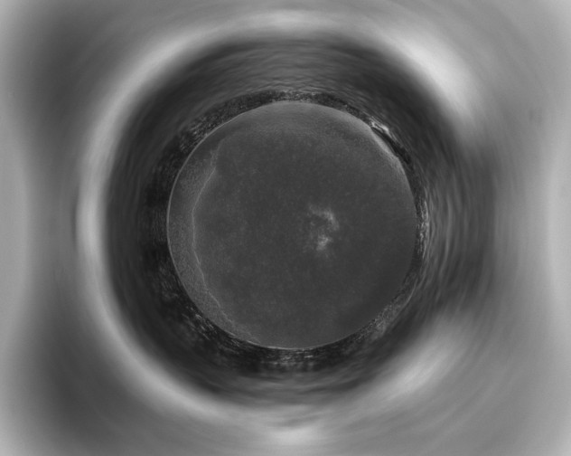 X0000096410383200801241225