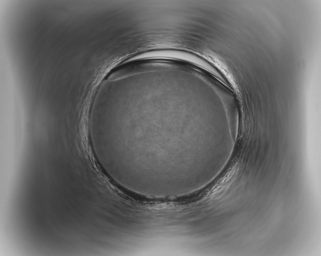 X0000096410385200801241225