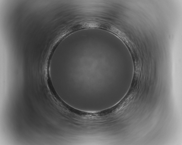 X0000096410386200801241225
