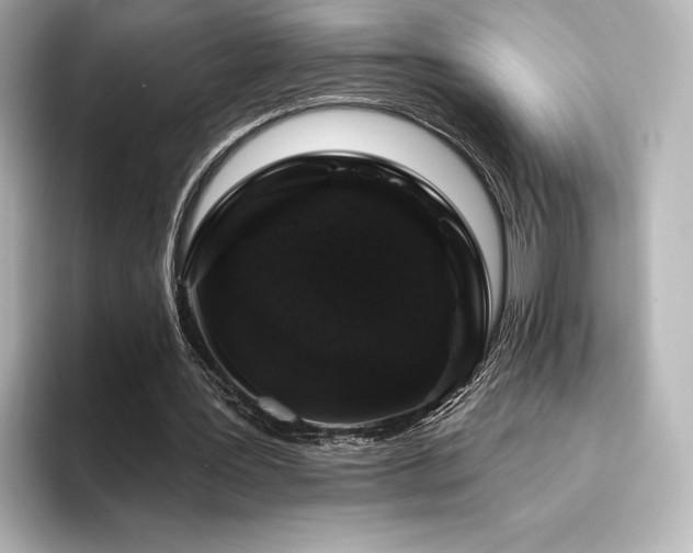 X0000096410387200801241225