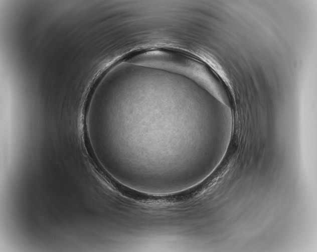 X0000096410389200801241225