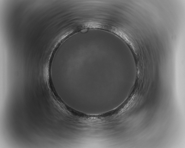 X0000096410390200801241225