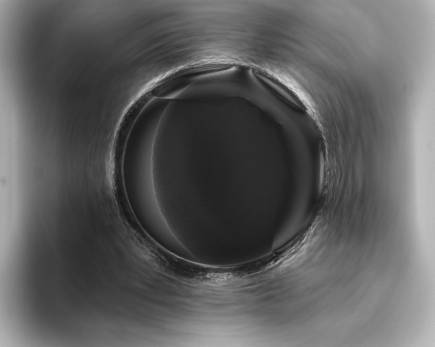 X0000096410391200801241225