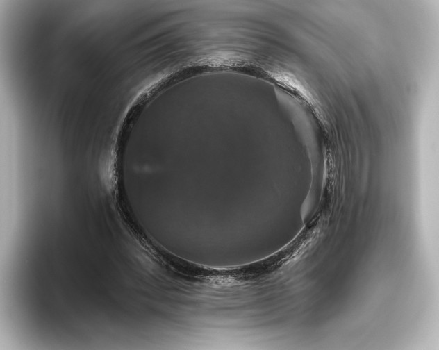 X0000096410392200801241225