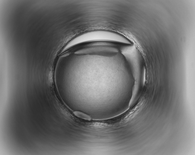 X0000096410393200801241225