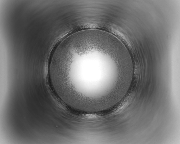 X0000096410394200801241225
