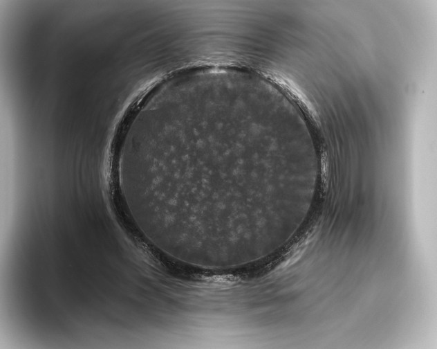 X0000096410396200801241225