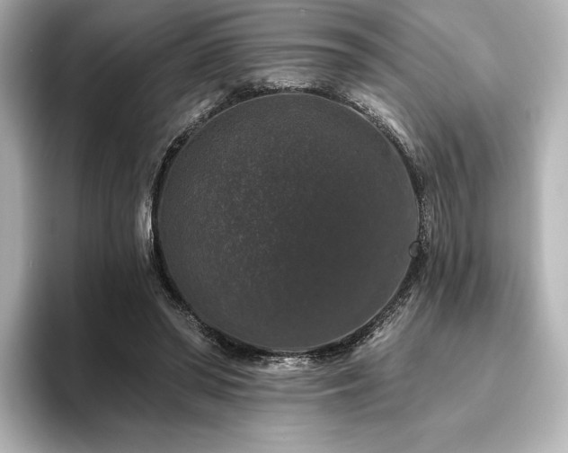 X0000096410398200801241225