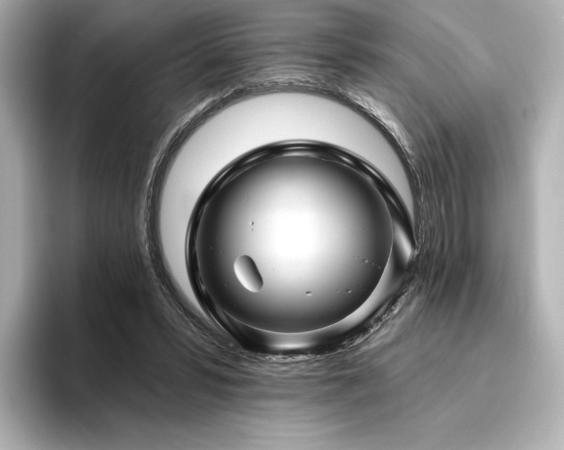 X0000096410399200801241225
