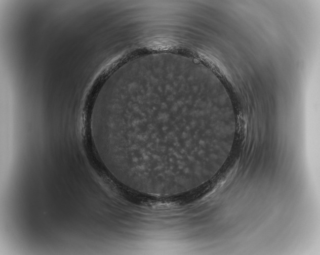 X0000096410400200801241225