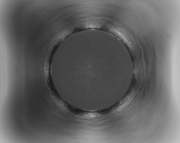 X0000096410402200801241225