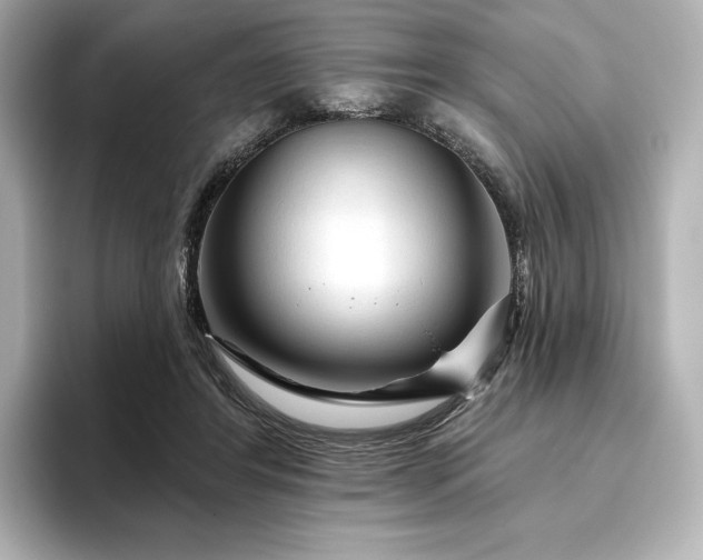 X0000096410404200801241225