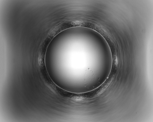 X0000096410408200801241225
