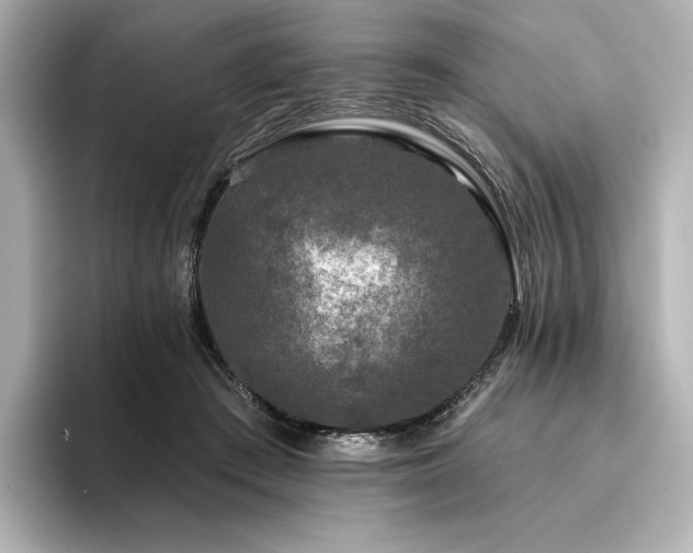 X0000096410409200801241225