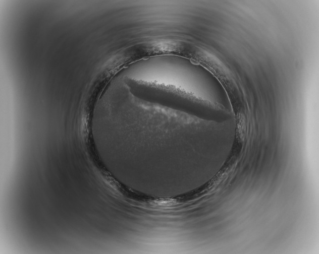 X0000096410410200801241225