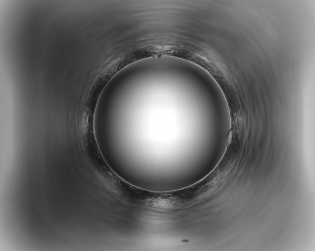 X0000096410412200801241225