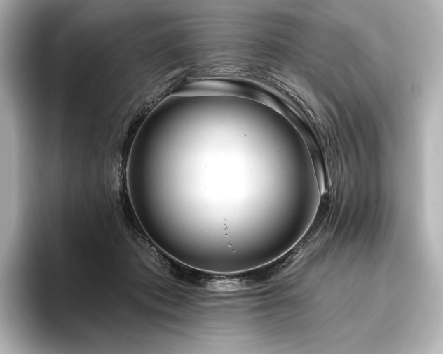 X0000096410413200801241224