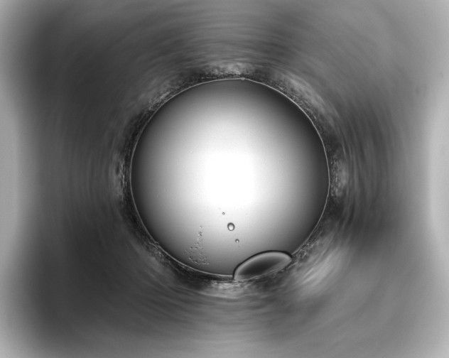 X0000096410414200801241224