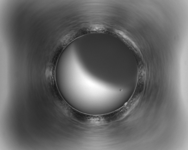 X0000096410415200801241224