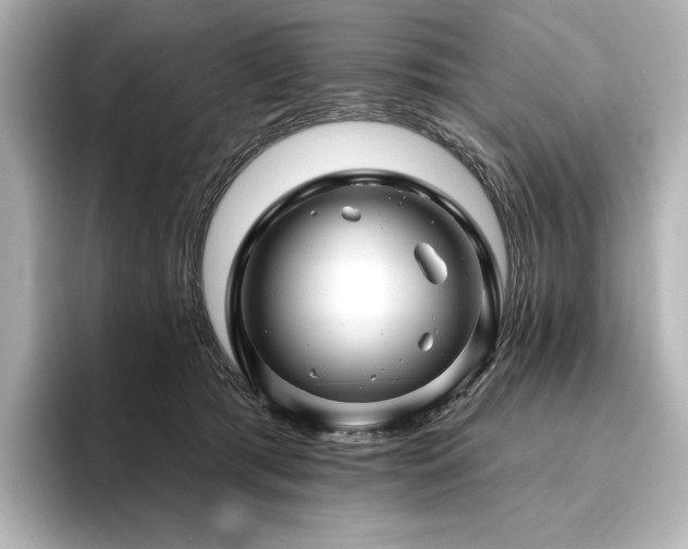X0000096410417200801241224