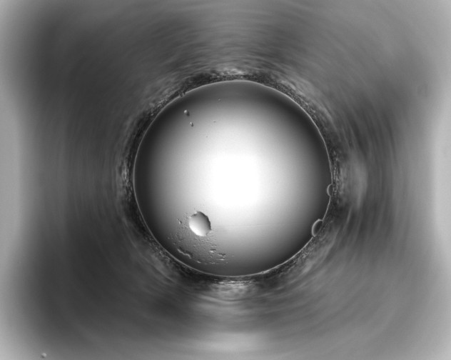 X0000096410418200801241224